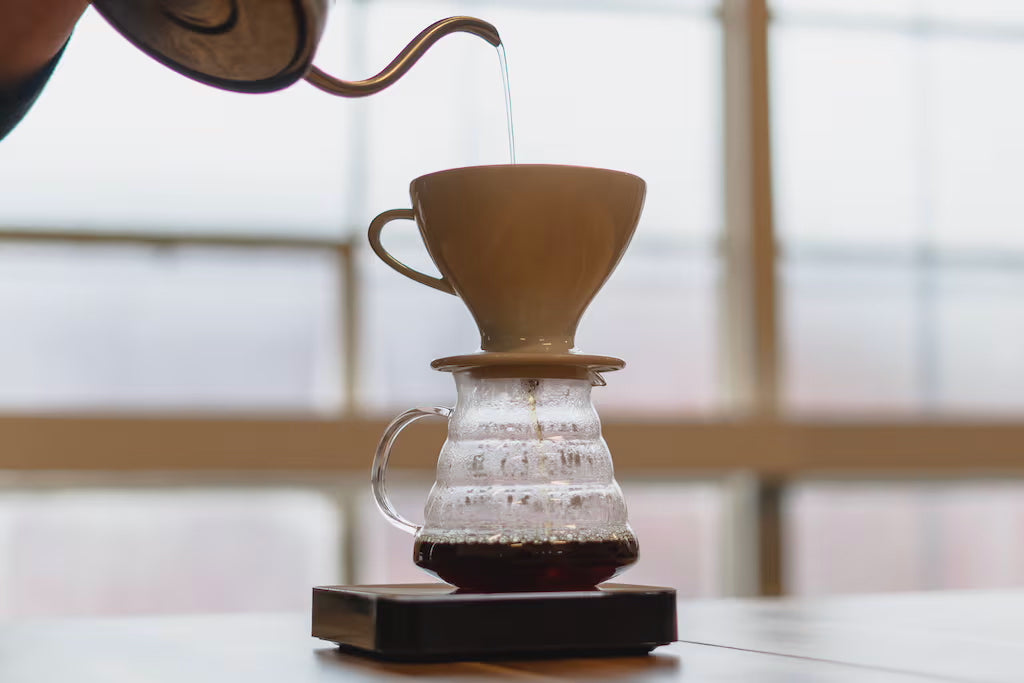 How To Perfect The Pour Over Brewing Method Veneziano Coffee Roasters how-to-perfect-the-pour-over-brewing-method-veneziano-coffee-roasters