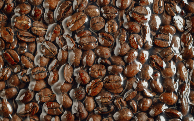 Freezing Coffee Beans
