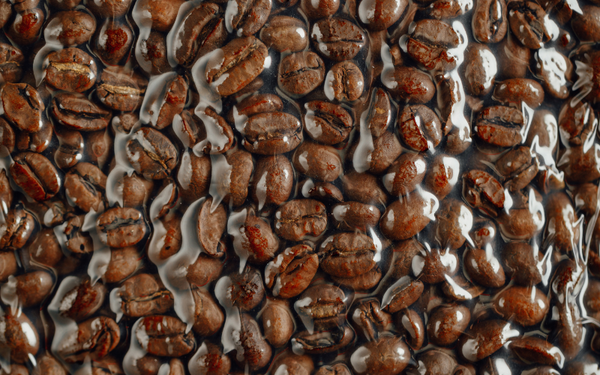 Coffee beans in on sale the freezer