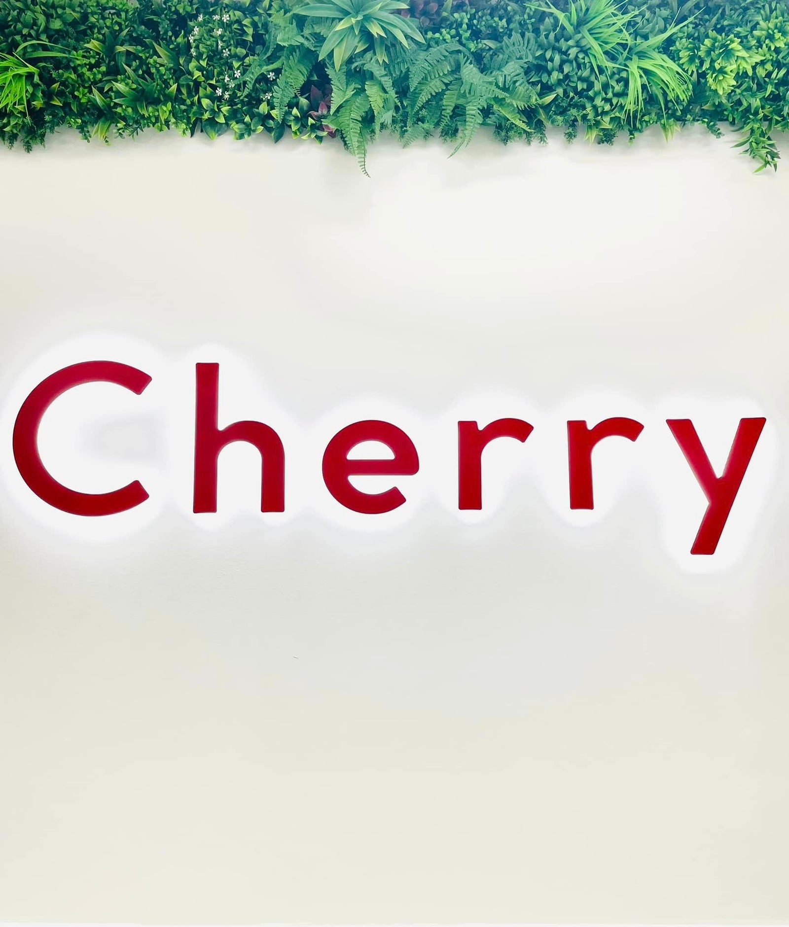 Cafe Opening Cherry Specialty Coffee, South Australia Veneziano