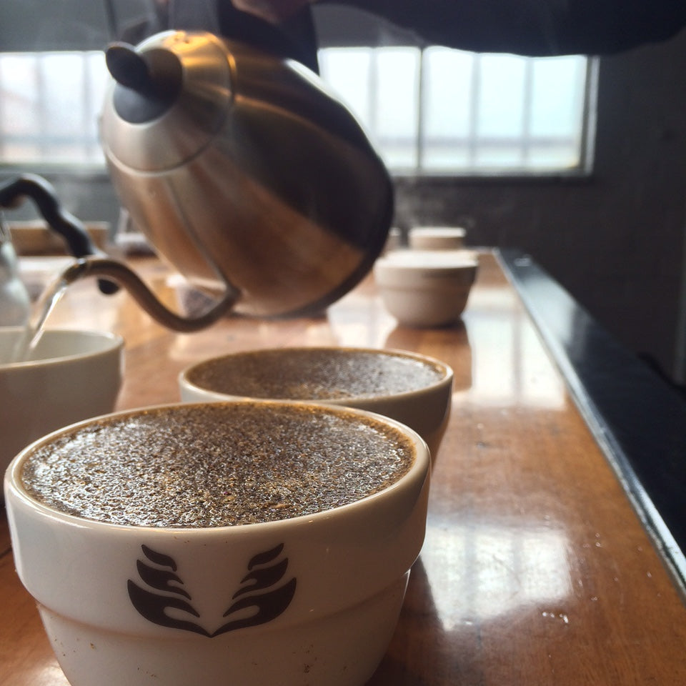 Open Cupping Sessions Melbourne First Pour