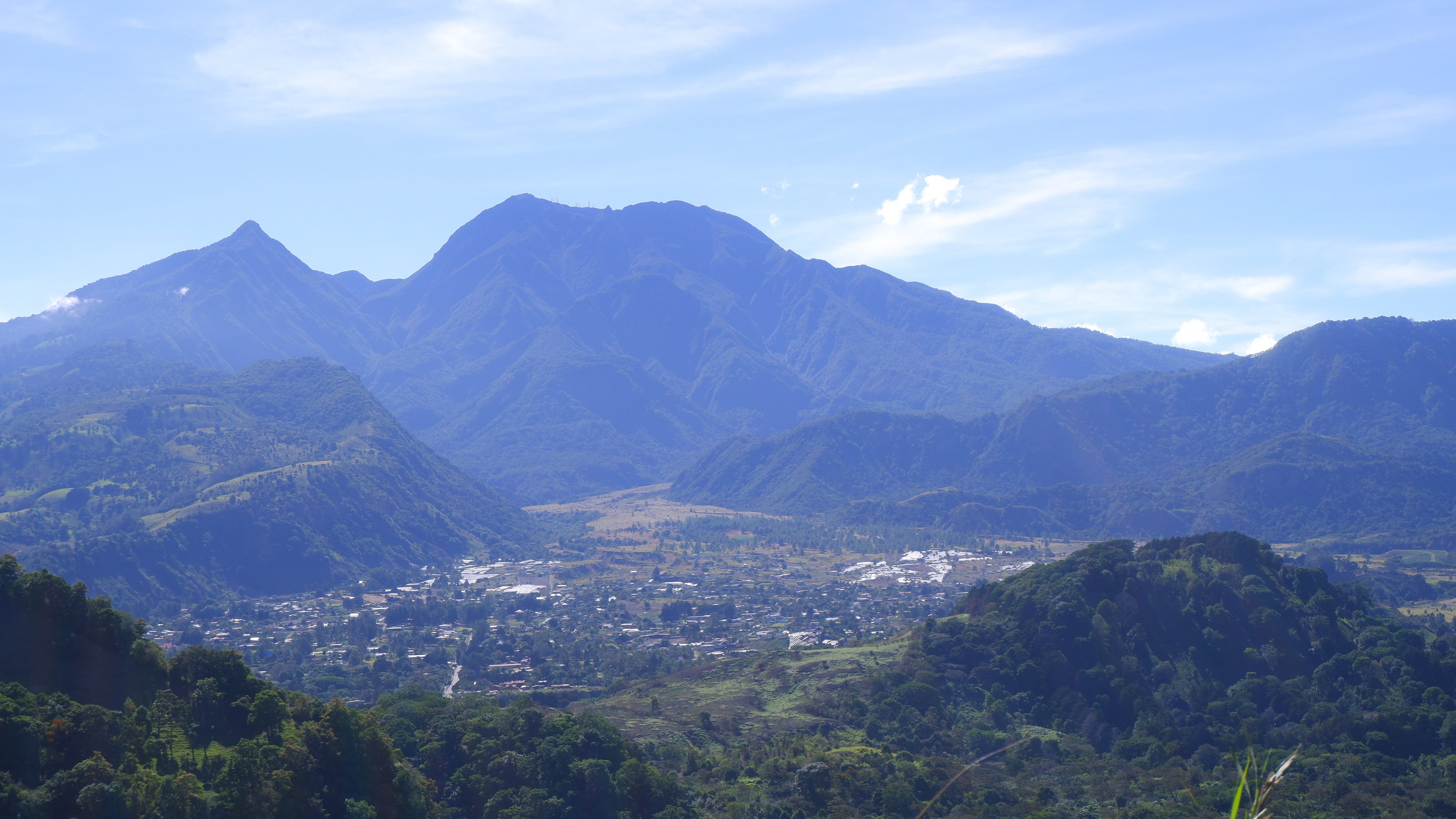 19 Farms. 361 Coffees. One Trip to Panama