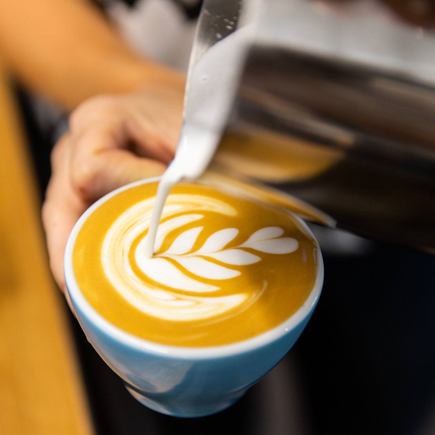 Milk Balancer Tool – Veneziano Coffee Roasters