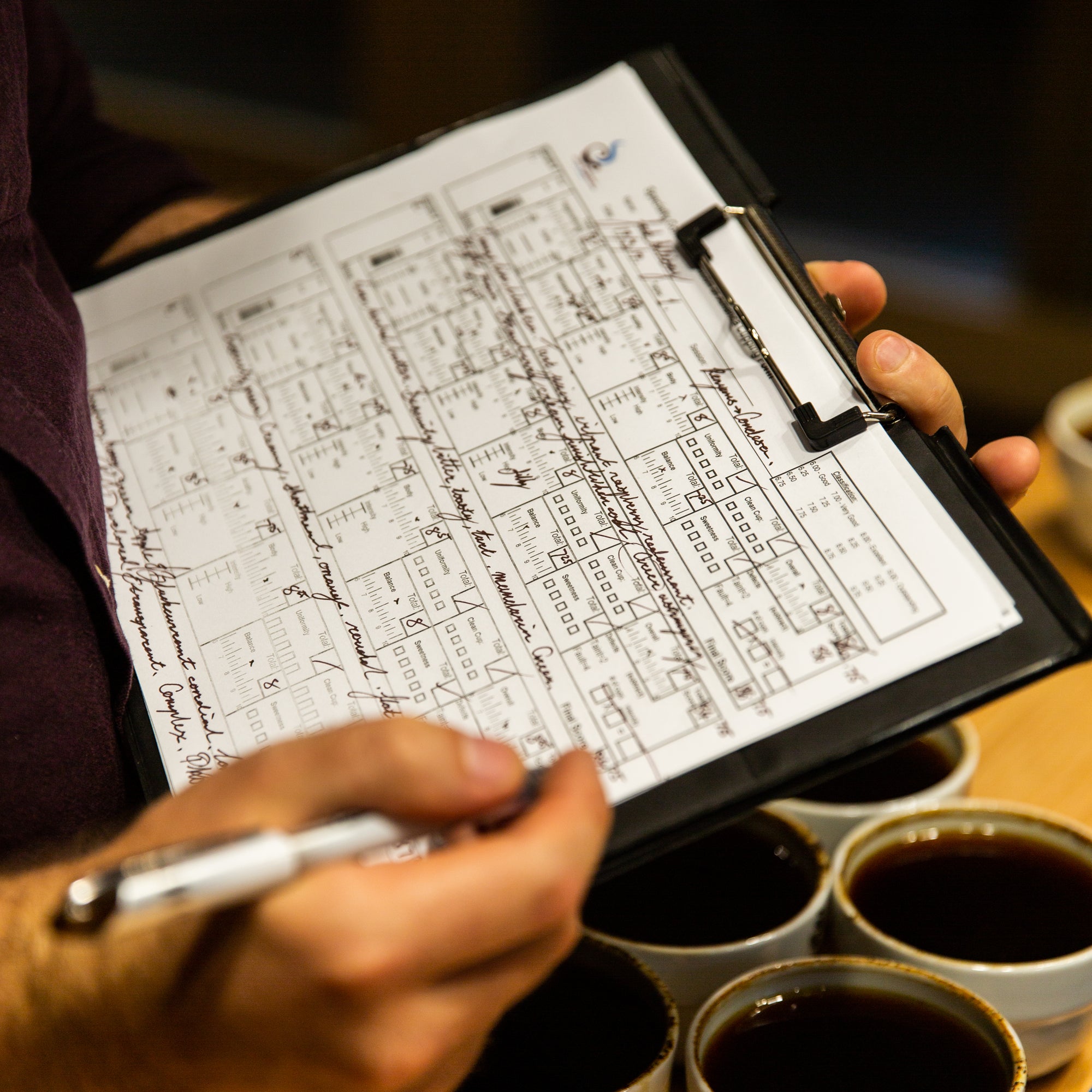 An introduction to the Q grader program and 7 tips to help you pass.