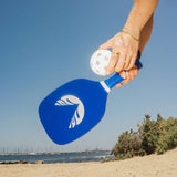 Pickleball Set