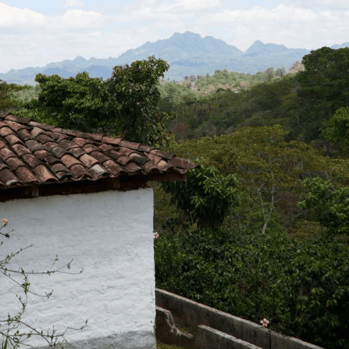Honduras El Pedrero